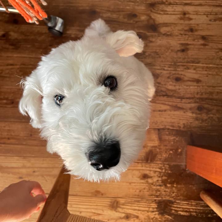 529a97b7 c768 4837 ad70 7654f27953fe 1699615720676