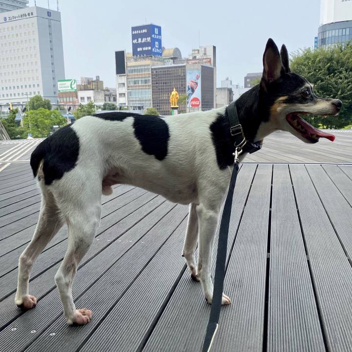 529a9879 a3c9 4f35 8d99 819e05534c9d 1596866205839