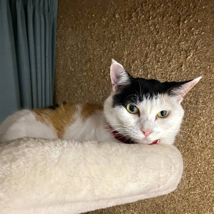 529ab427 5af1 4e20 81f8 4fc08803b685 1754487726311