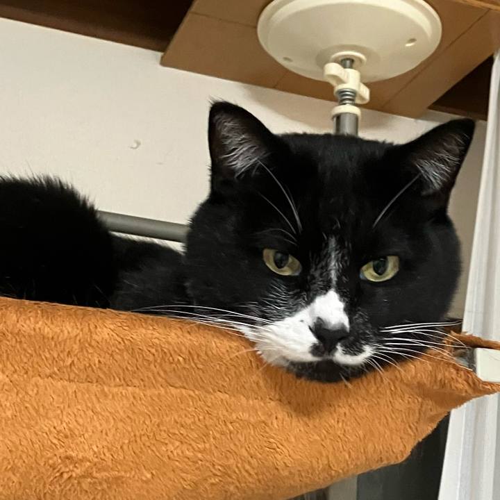 529ad5fc 78bf 4d10 883a 5db72075ffd5 1740379172823