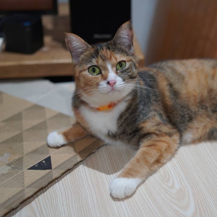 529add78 d9bd 4909 afca a7c6b77ae735 1629292952942