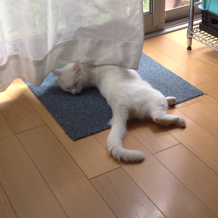 529ae2d6 93b2 4259 b83f e8cf7b4361bf 1627953661784