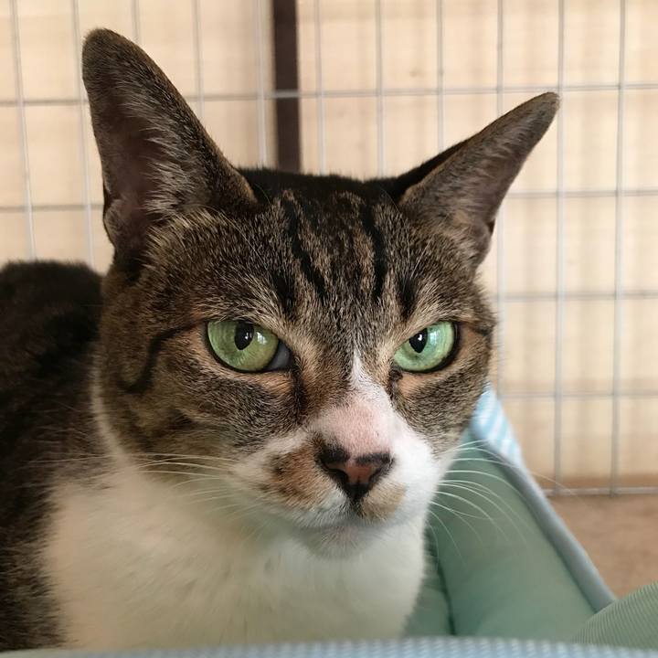 529b321f 361c 4666 b6fb 332650bb1b1c 1532735076681