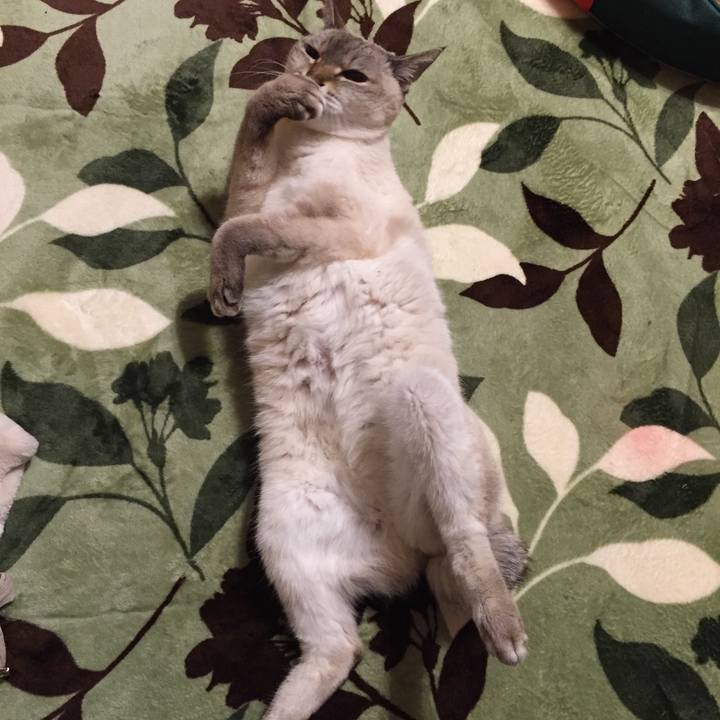 529b8dfd 6534 4c2e b159 bca1b02b9006 1581158229747