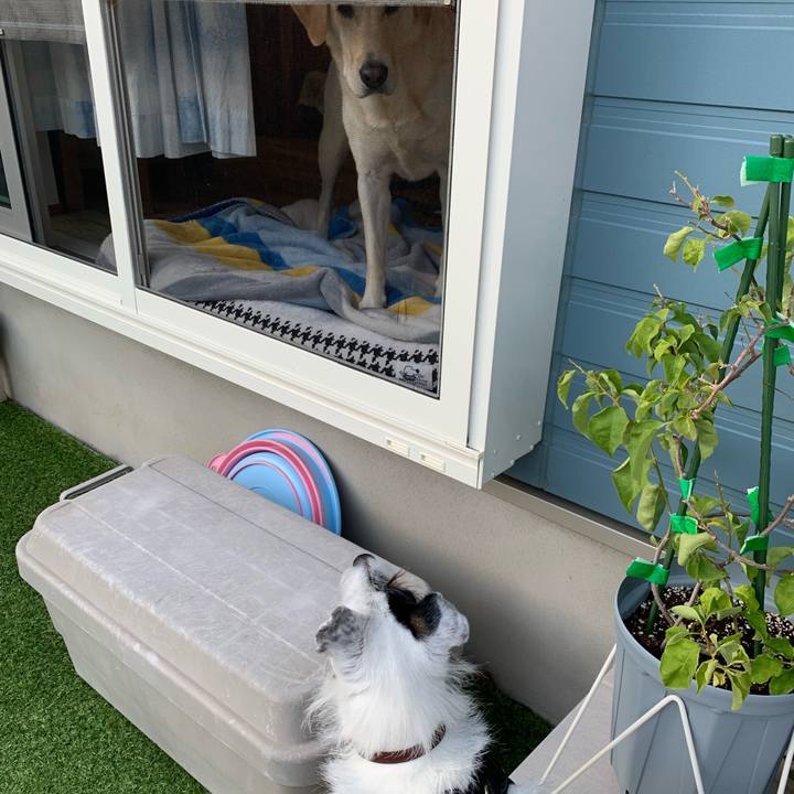 529bb922 b942 45f2 b476 0e38c2c1a89c 1728806419105