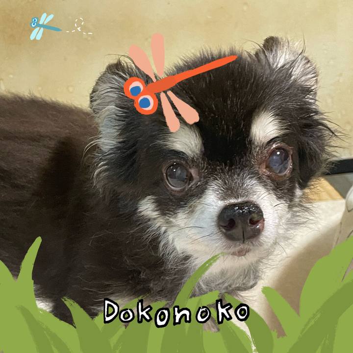 529bcf05 05a8 4260 9897 dc832c3316c9 1726798947534