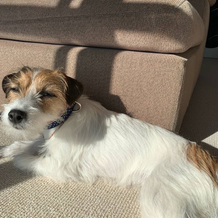 529bdd3c 91b0 42bd b0db 3208d20d3aa7 1775223965715