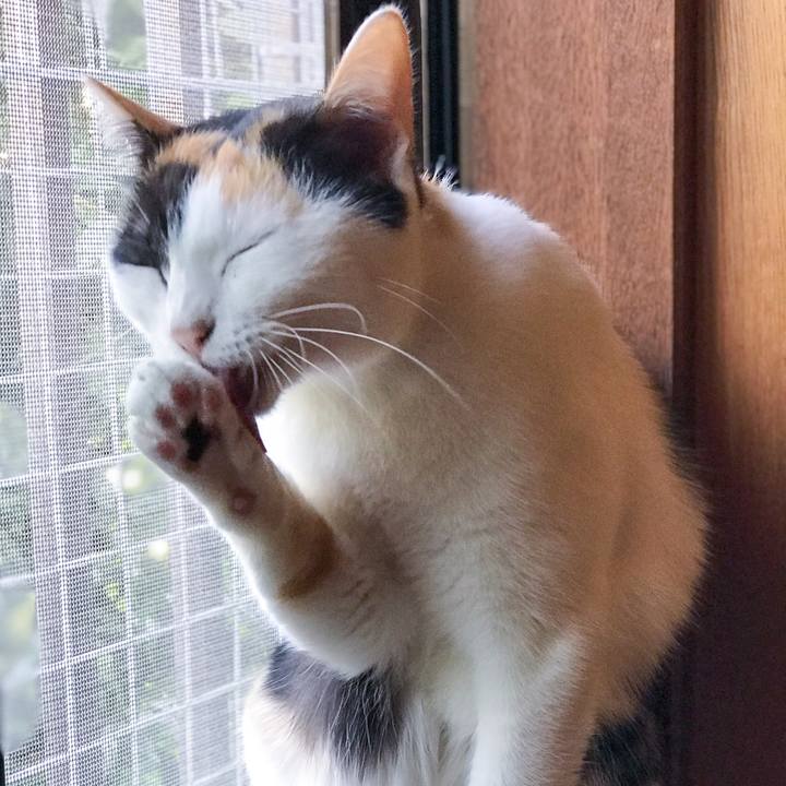 529bf17a b864 4aa5 8fd4 f1aa6056f475 1509413987732