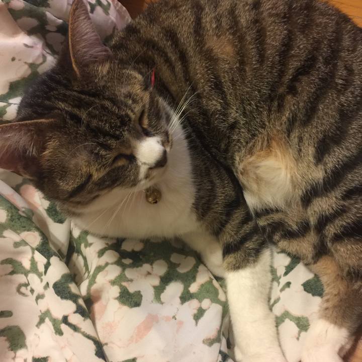 529bf877 b07b 4d1e 9f6d c86bef4fb4eb 1558785296380