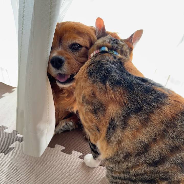 529bfcec 69cb 4069 973a 014ed552c12c 1680310300775