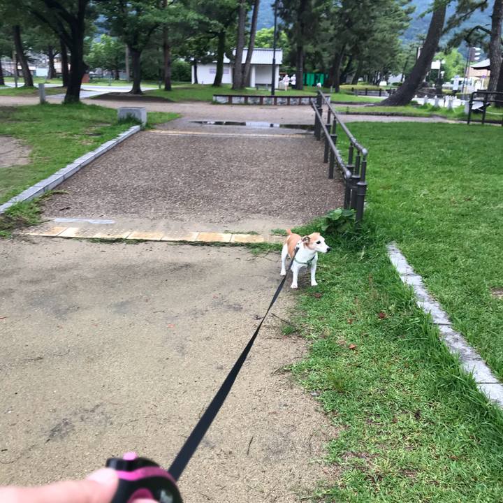 529c12aa 8e1e 4bca 89b8 0c74a0f2a81b 1592566306297