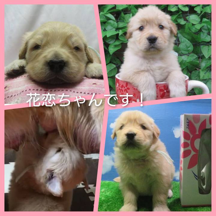 529c289d 7476 4ae1 afac 1412301df804 1615255481254