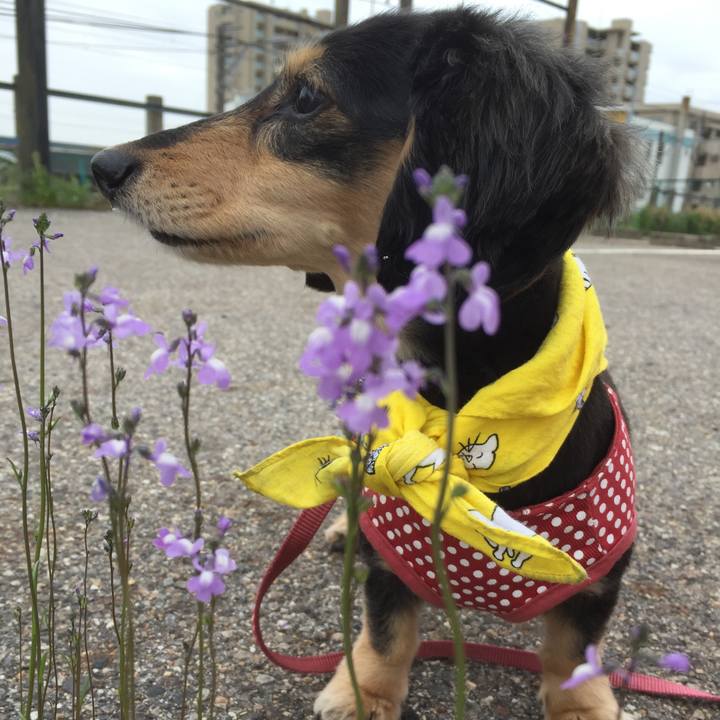 529c3be6 ed56 4129 b5a7 38d00a552ae1 1523926917093