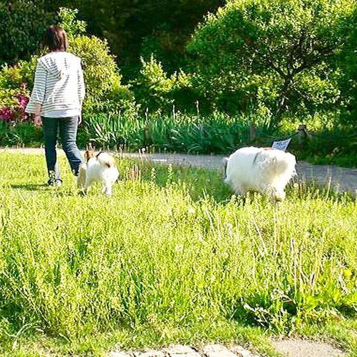 529c4d03 d00a 4270 9360 cd4e93426536 1564991753437