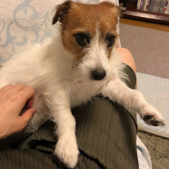 529c93e5 c1b6 48f1 9ff8 c9031cecb22e 1598769307861