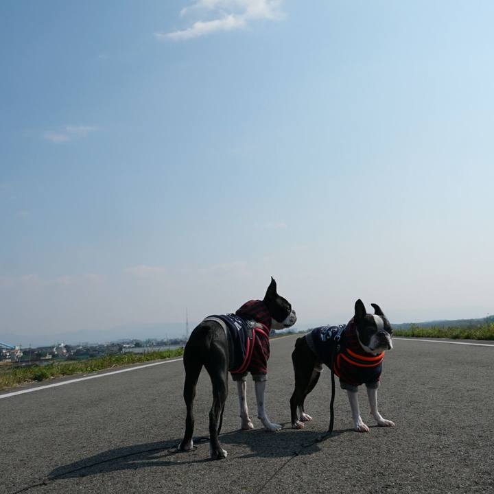 529ca63f c488 4491 9fec dc64754a261b 1509886221782