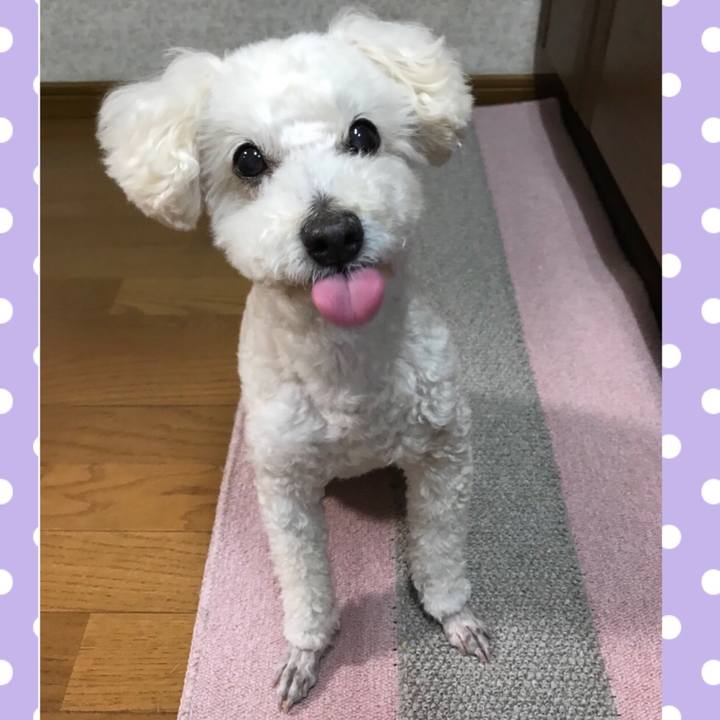 529cd53d 7128 48c6 ace8 582e5eb4f990 1519400638302