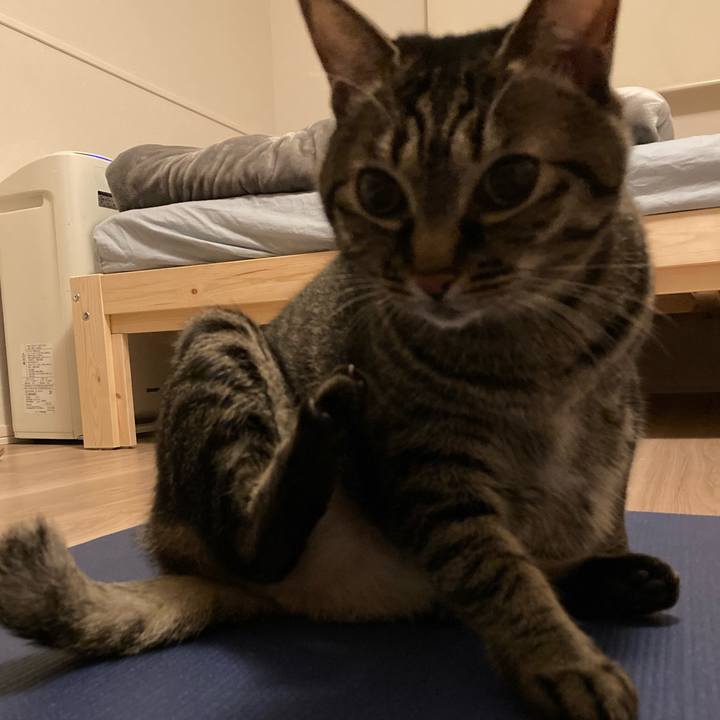 529cfb8a 0337 46c3 9341 0650b81f88c8 1605514432918