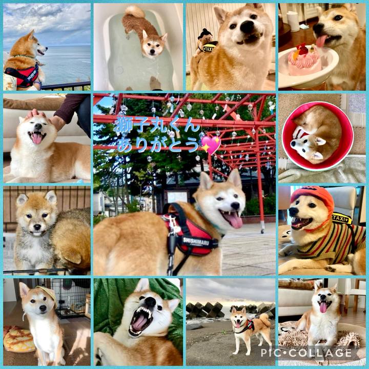 529d3943 5c2a 4955 a132 4efcb6999d07 1786923277732