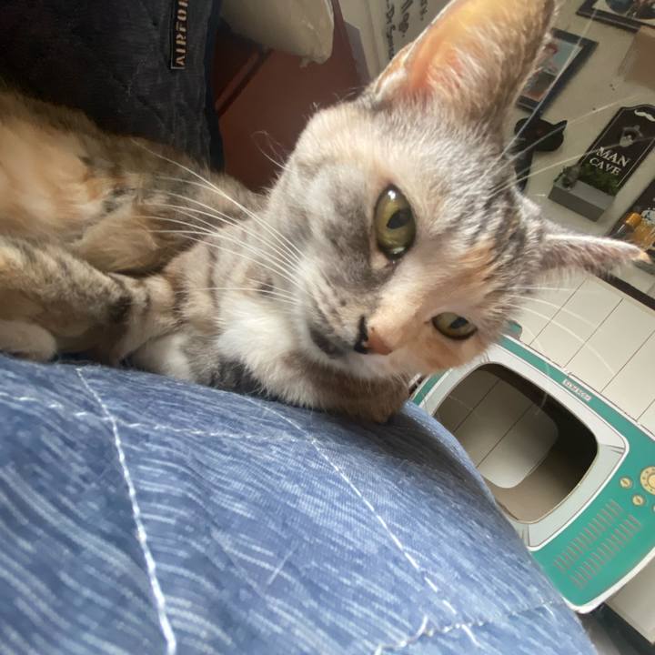 529d5c34 7576 42c4 bb14 66252a066b01 1665363456358