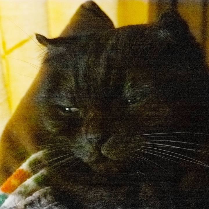 529d7b6d 86da 404c af6d c04bca23944e 1540732234257