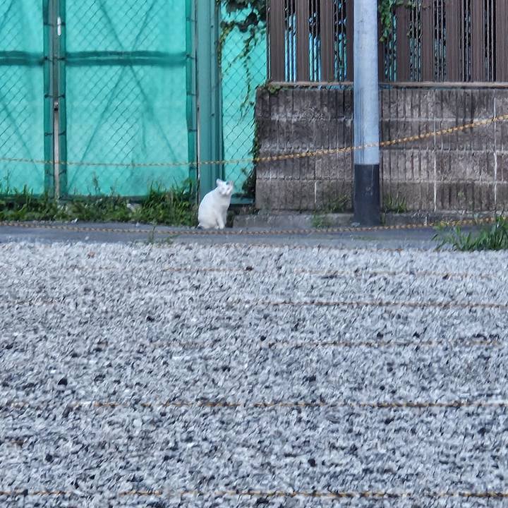 529d7dea 1310 4a09 a161 4c09fe1e31f3 1717494879647