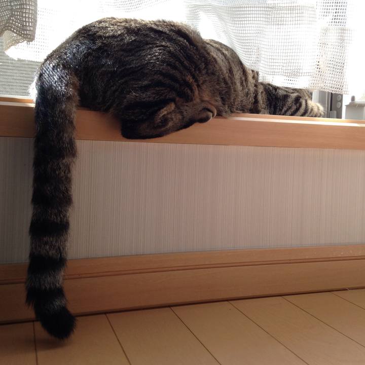 529d82d3 5d0e 4cb7 a922 5579383fe74a 1508514209391