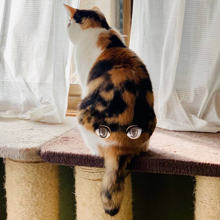 529d9abc 8e1e 41b3 aa65 d6c19f70ad59 1607914542259