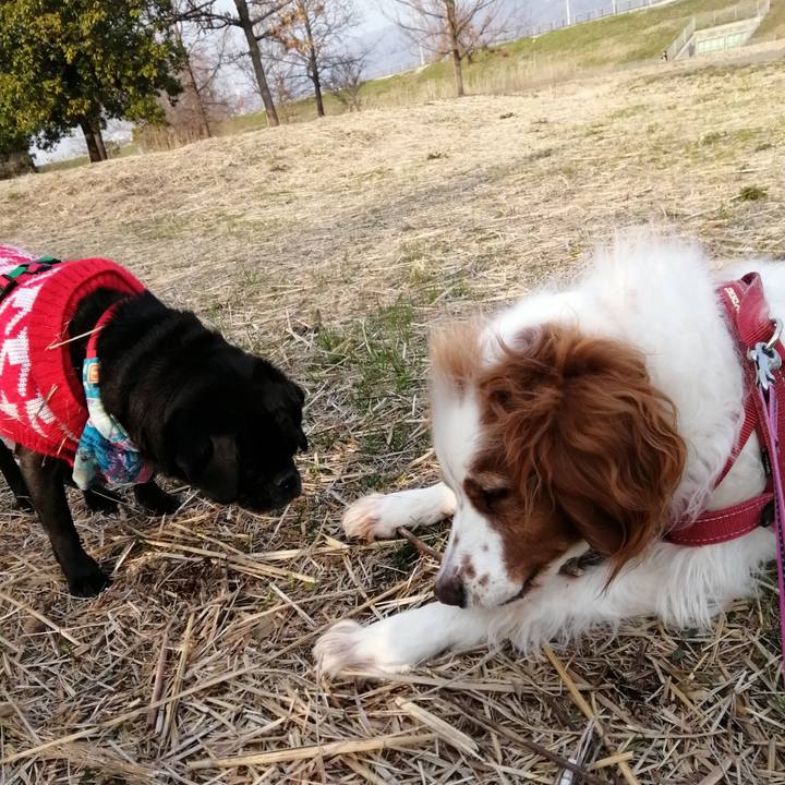 529df42f f8c2 48eb 8809 118b582a77ab 1615808049896