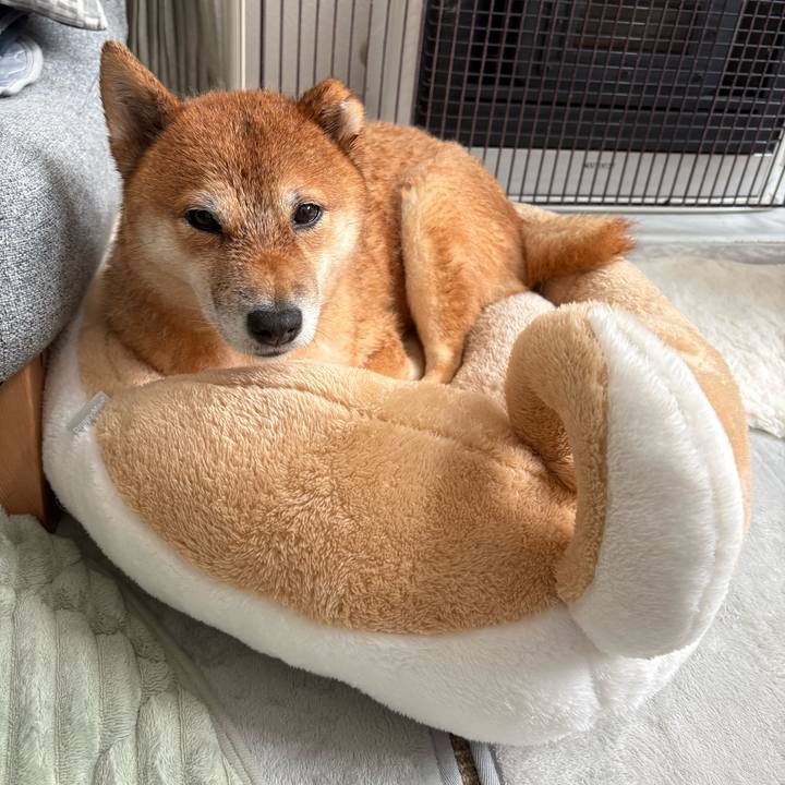 529df480 2fb4 45ac 8e2c 3a296eac820a 1763784865816