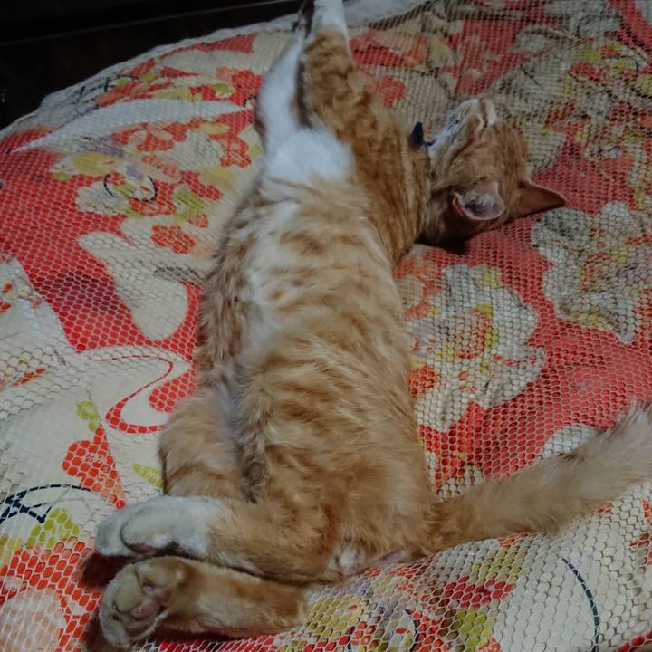 529df59c acbe 461f 901a 0930bba985ad 1559223424163