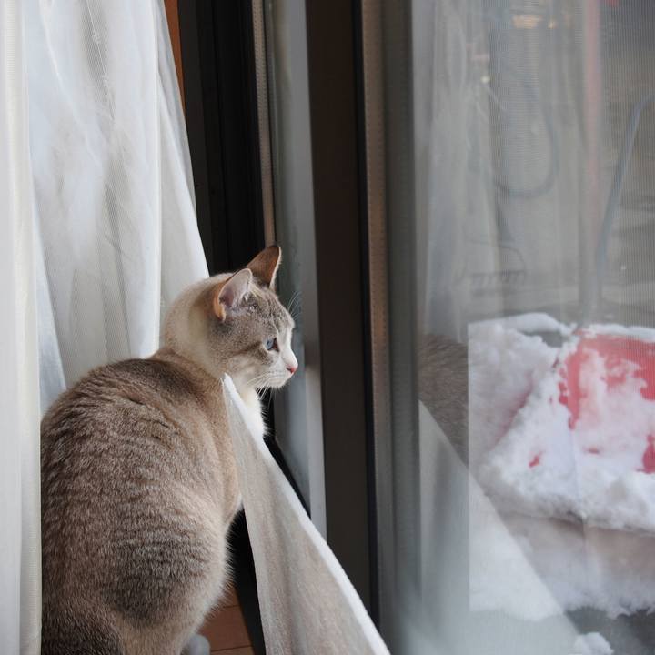 529e0430 7495 4433 b553 25e8dd0e0182 1516800656707