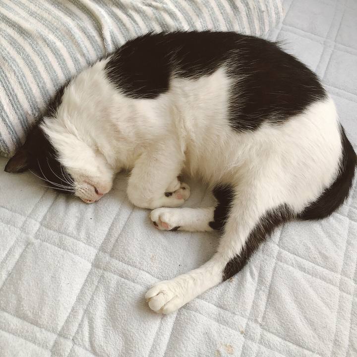 529e2f02 c2ac 4f3f bc17 39d932ed8ade 1630223814601