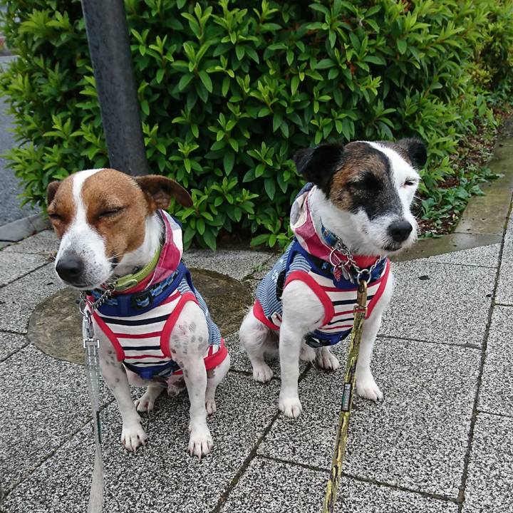 529e513b 19cc 4996 b960 242eacbca77c 1590963308161