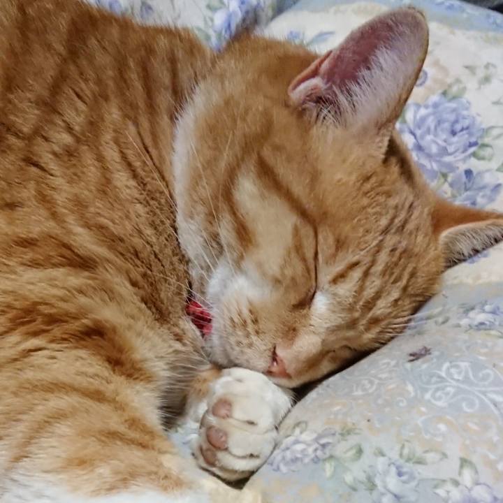 529e56ab ae7f 4a0f 816f 7e410d716155 1575806978652