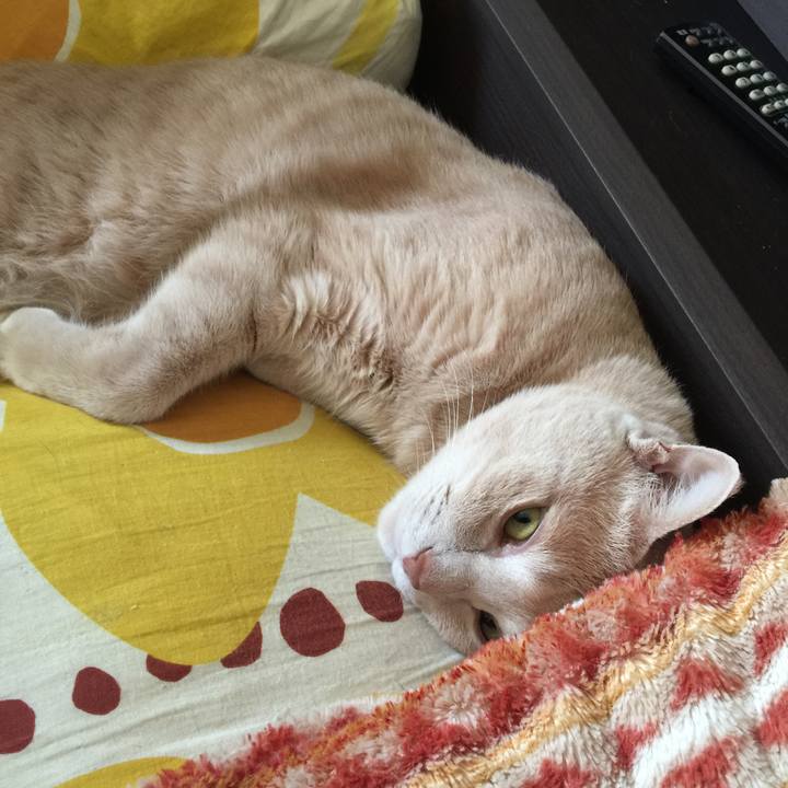 529e608c f194 4b59 85d4 207ba1e93b1c 1526943296505