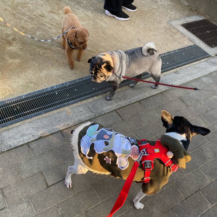 529e7593 5dfc 4fc4 8328 2eda9fcccddb 1612087523693