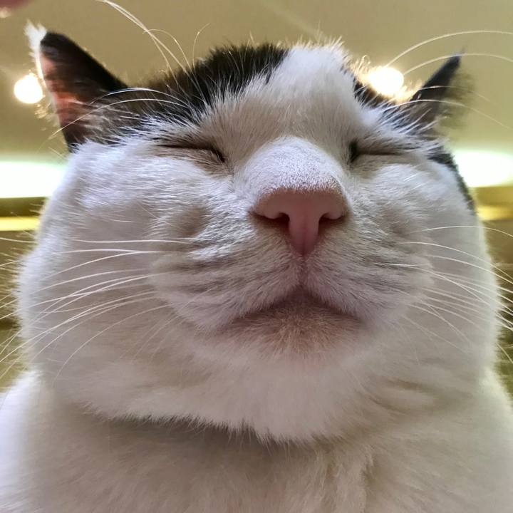 529e9070 975f 4076 896d c2b1bd674cc0 1546928026534