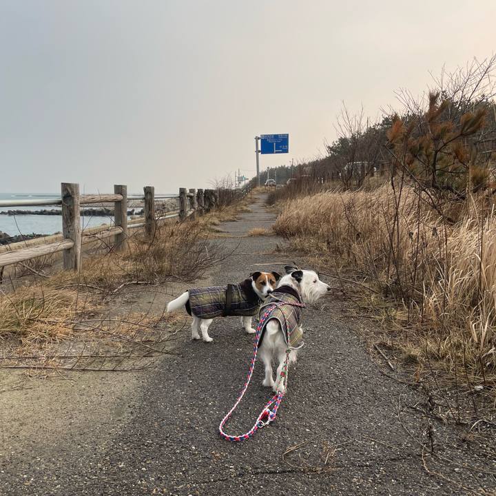 529ea298 17df 42e3 89cc 6c7fdebd706f 1739747098965