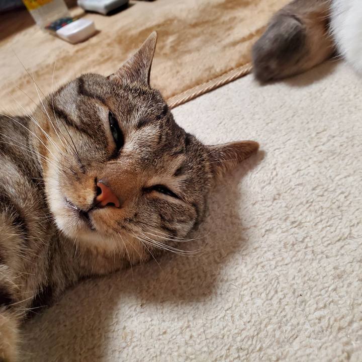 529ee72d 298f 4b65 8450 363a9094cf4e 1721366973164