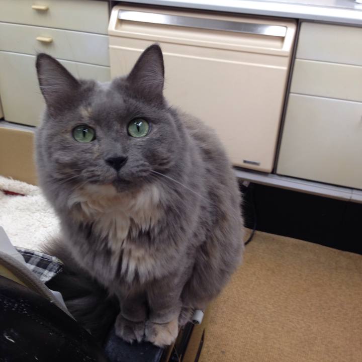 529f4703 9c6e 46f0 85e3 236215acc039 1509416304241