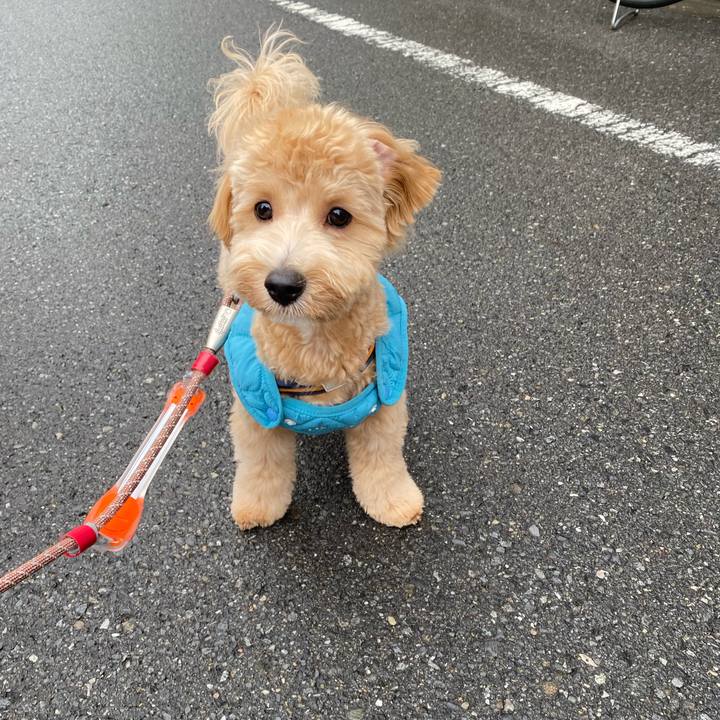 529f645c 3d8d 4c76 9a3b 50624198eea9 1756990558362