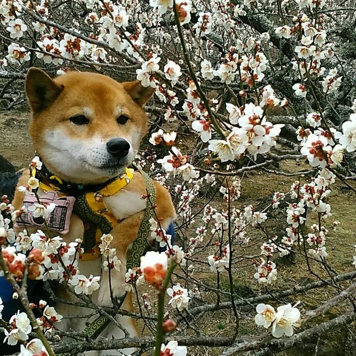 529f8818 b9c7 4026 8781 a425fdf133bd 1550910543107