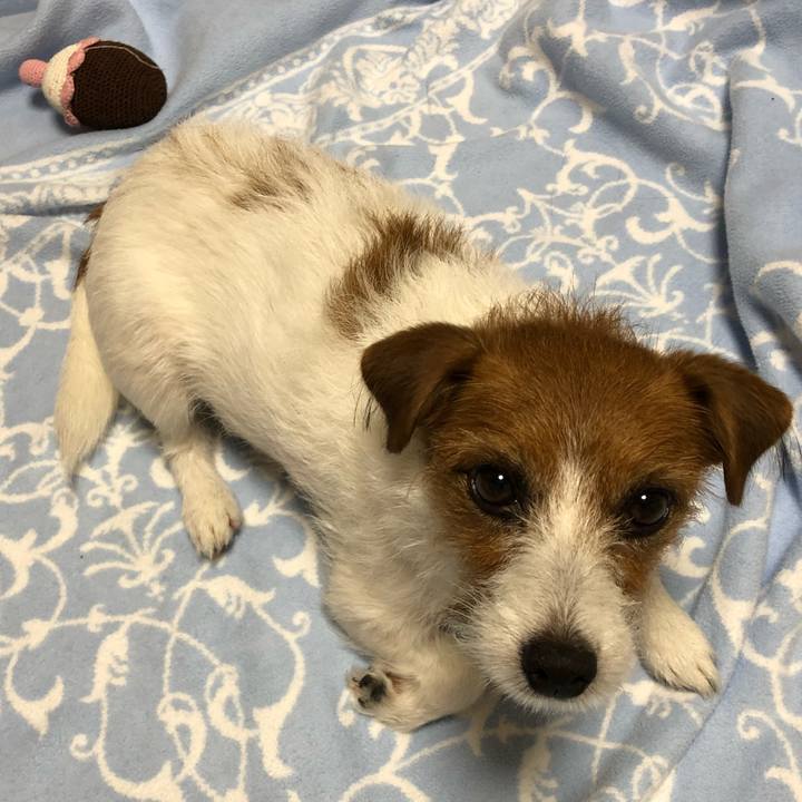 529fbccd c05c 44a9 ad88 8ba8f8f29b4d 1540128983800