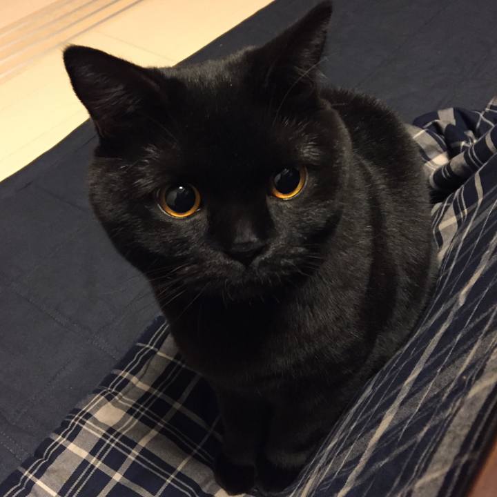 529fc0ef 326c 4b14 8426 6a6fe74fd9fb 1513244687425