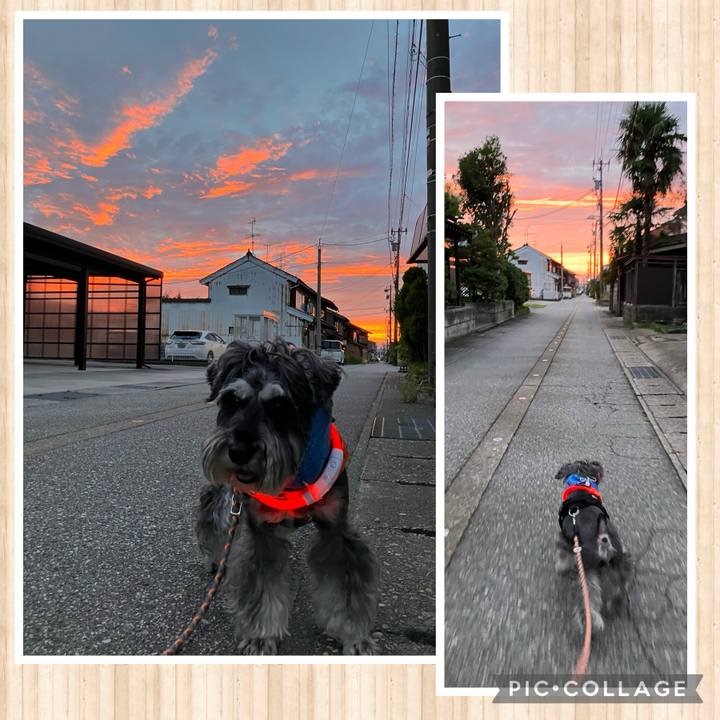 529fd20e b647 4e7e 9961 c192fc0a96a2 1724848864975