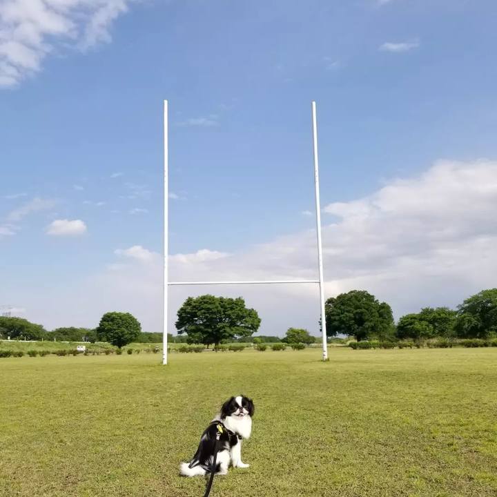 529fe745 fe66 420c 9b1a 8f2e5d804927 1651488786606