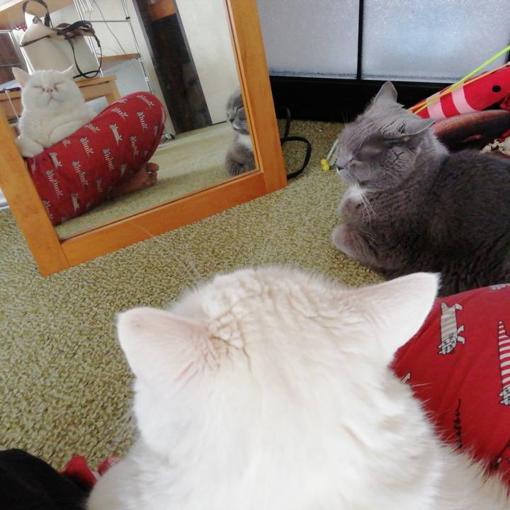 52a00861 f7f9 4cc3 8476 dfea7dc4bfc7 1715639728681