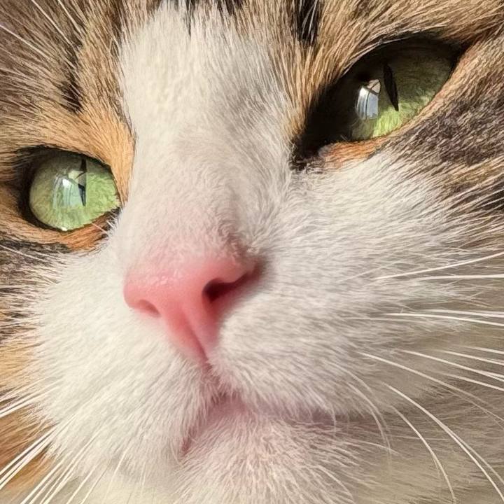 52a01419 8c95 4205 9bbd 4f49e2ca3a16 1763870487014