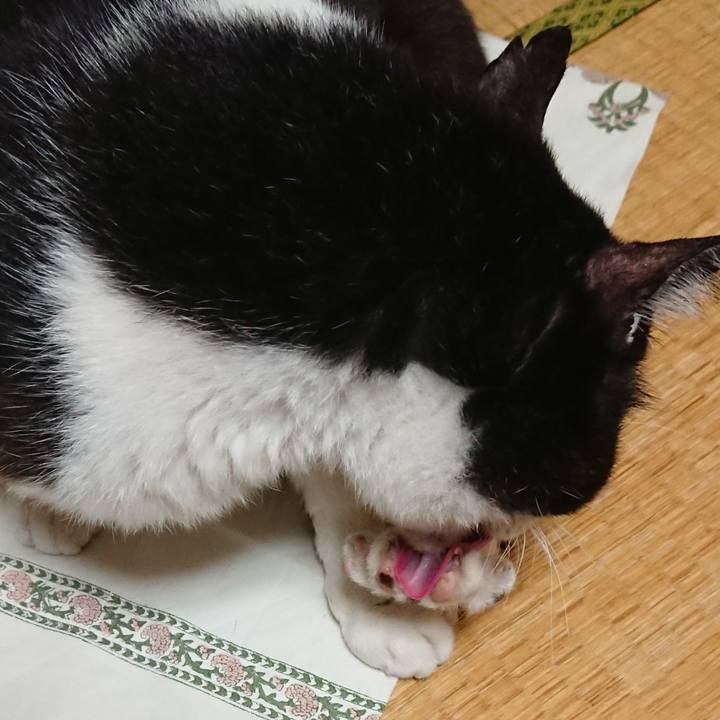 52a03b3b aa1e 4644 8290 dd432932f0bf 1567172432891